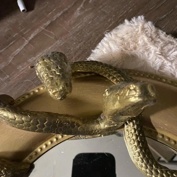 Homemade Harry Potter Nagini snake mirror! Made it from scratch! :)